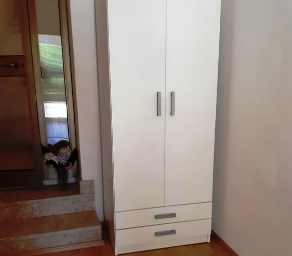 Molo