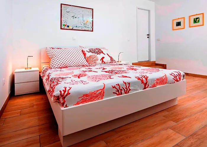 Apartman Molo *