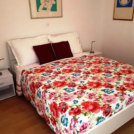 Molo 罗维尼