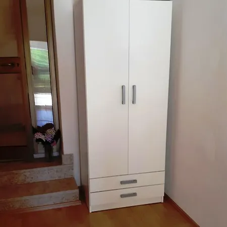 Molo